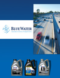 Bluewater Group Brochure